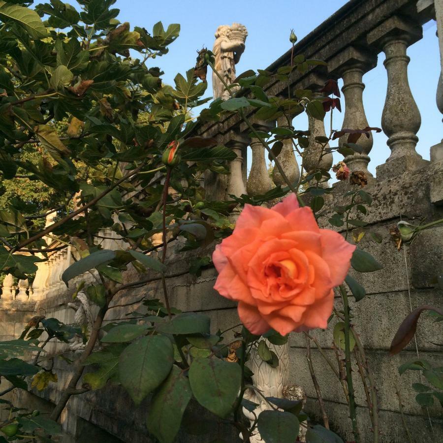 The Mansion House Villa Capannina Novi Ligure Exterior foto